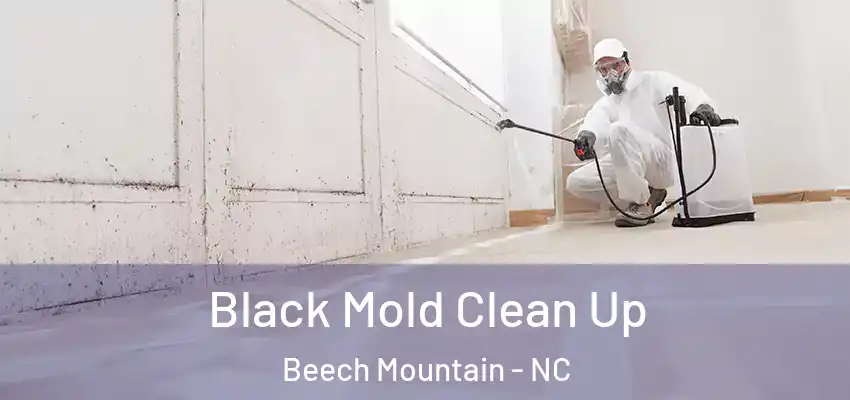 Black Mold Clean Up Beech Mountain - NC