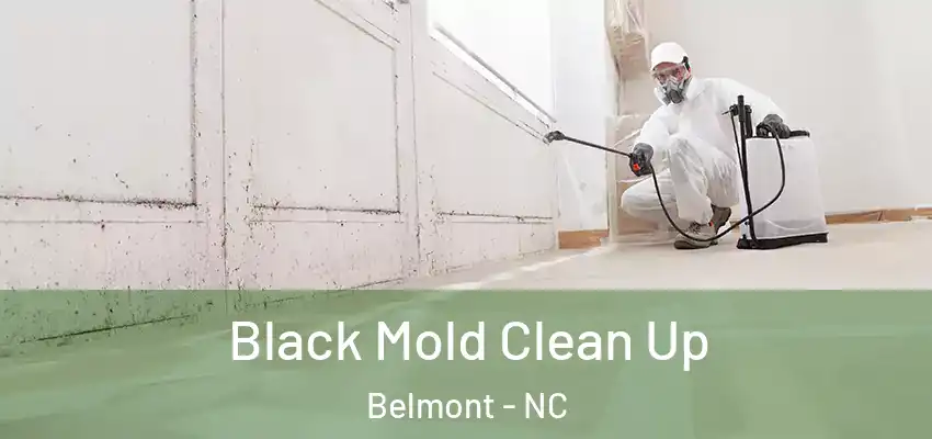  Black Mold Clean Up Belmont - NC