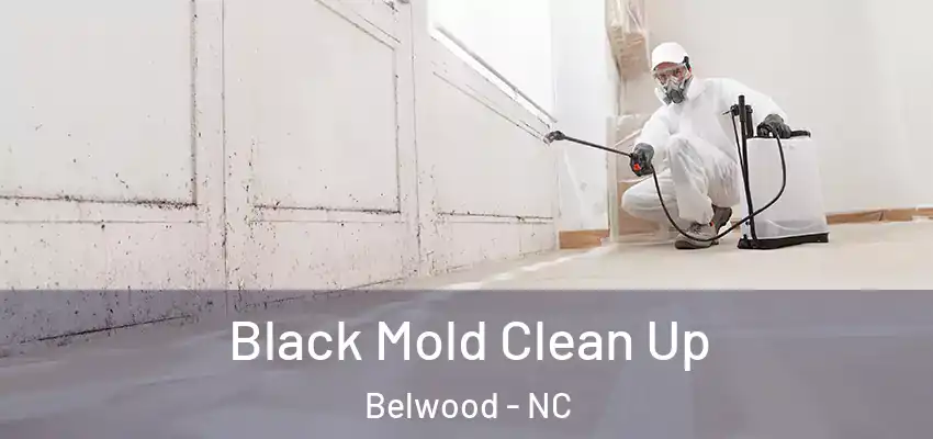 Black Mold Clean Up Belwood - NC