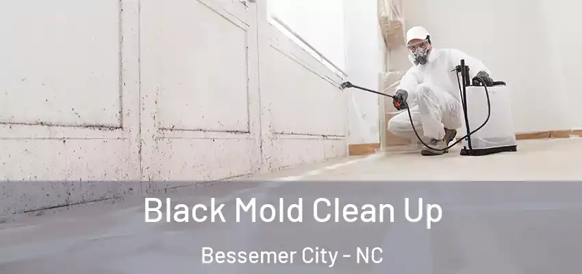  Black Mold Clean Up Bessemer City - NC