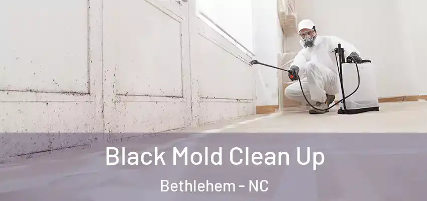 Black Mold Clean Up Bethlehem - NC