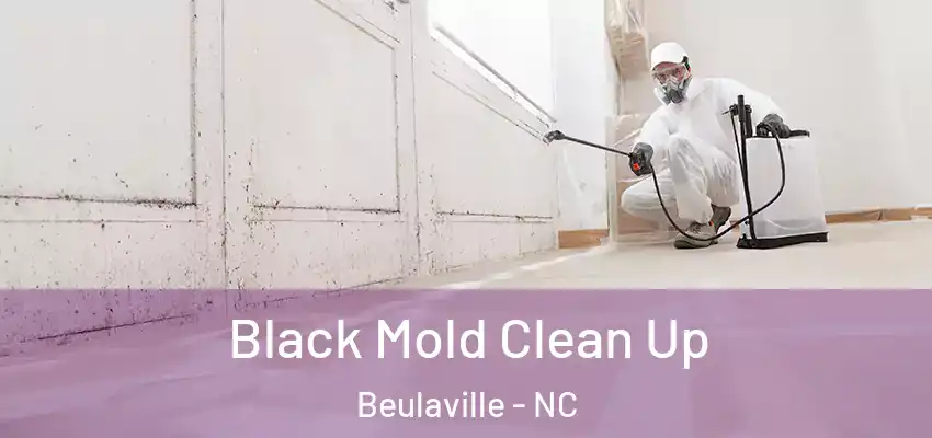  Black Mold Clean Up Beulaville - NC