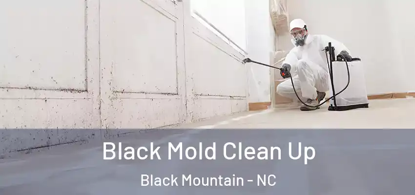  Black Mold Clean Up Black Mountain - NC