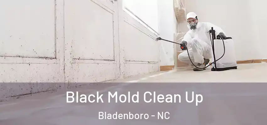 Black Mold Clean Up Bladenboro - NC