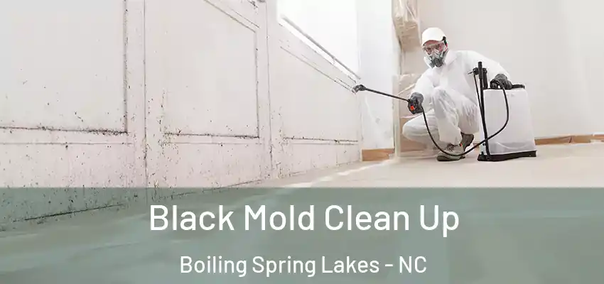  Black Mold Clean Up Boiling Spring Lakes - NC