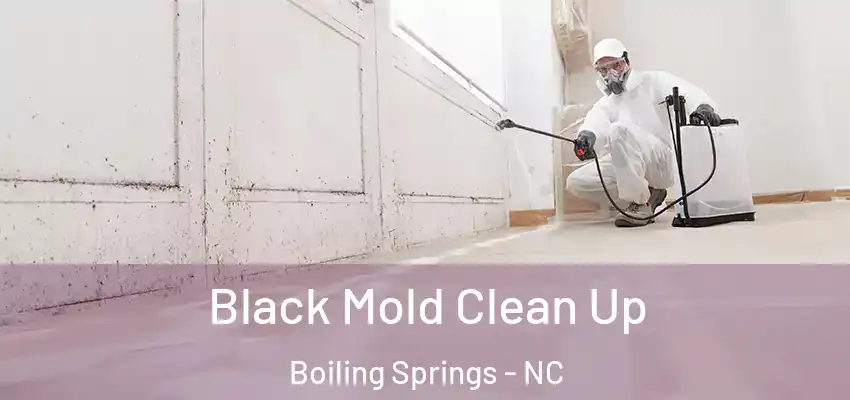  Black Mold Clean Up Boiling Springs - NC