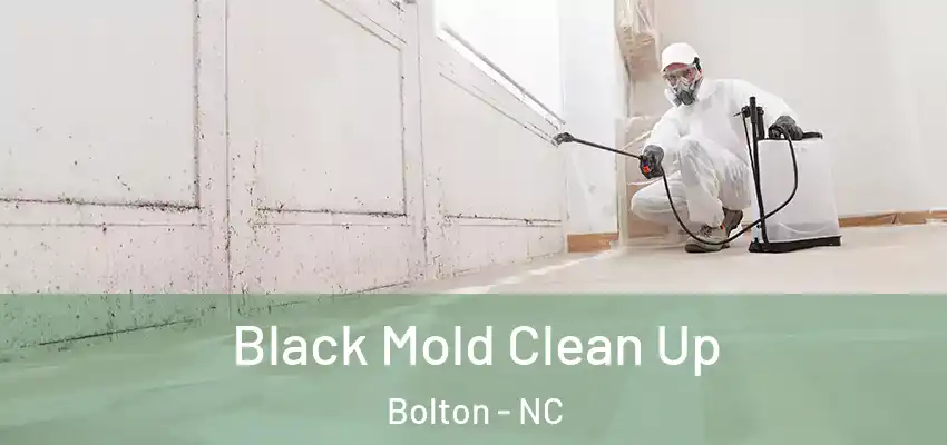  Black Mold Clean Up Bolton - NC