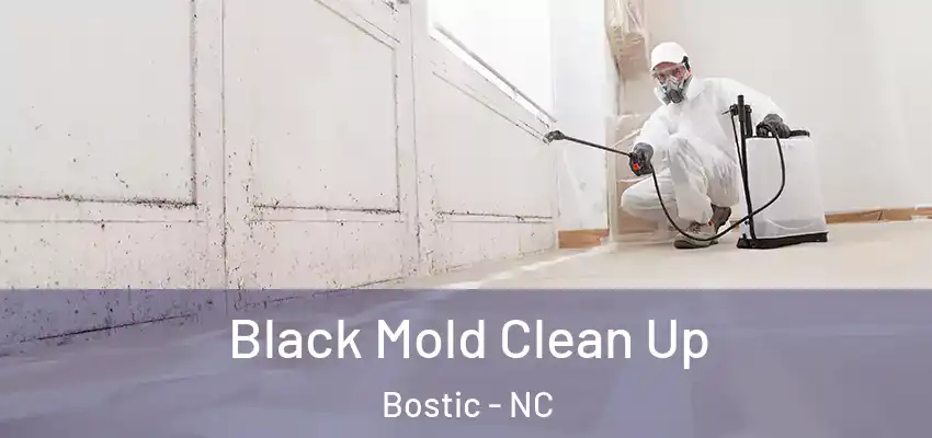  Black Mold Clean Up Bostic - NC