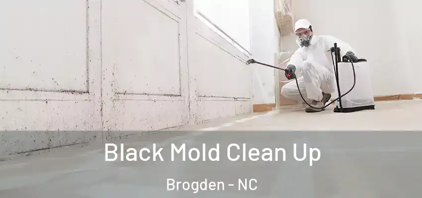  Black Mold Clean Up Brogden - NC