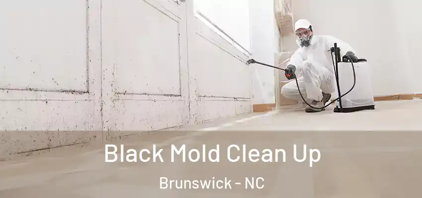  Black Mold Clean Up Brunswick - NC
