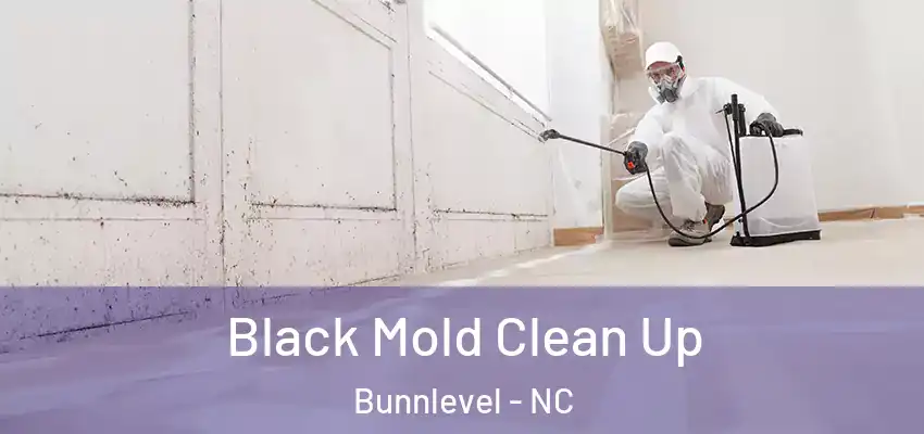 Black Mold Clean Up Bunnlevel - NC