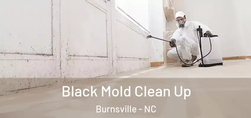 Black Mold Clean Up Burnsville - NC