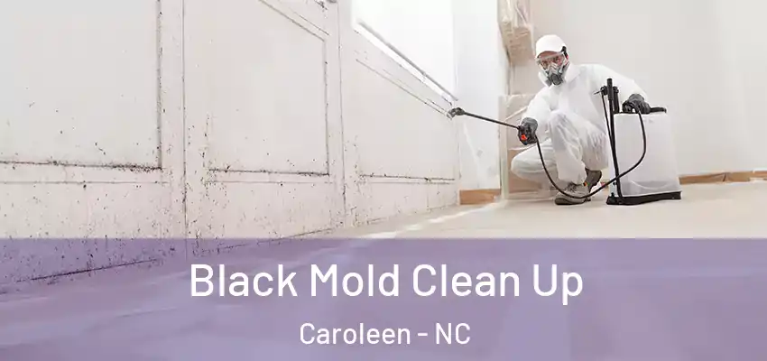  Black Mold Clean Up Caroleen - NC
