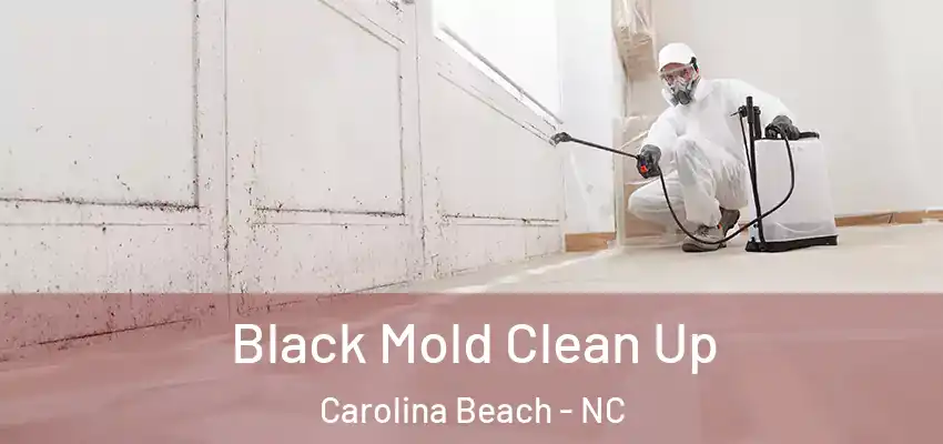 Black Mold Clean Up Carolina Beach - NC