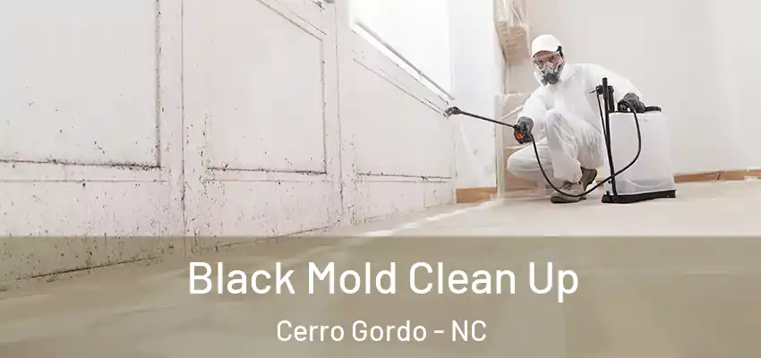  Black Mold Clean Up Cerro Gordo - NC