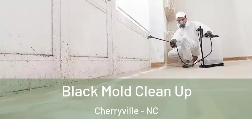  Black Mold Clean Up Cherryville - NC