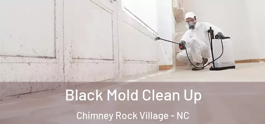  Black Mold Clean Up Chimney Rock Village - NC