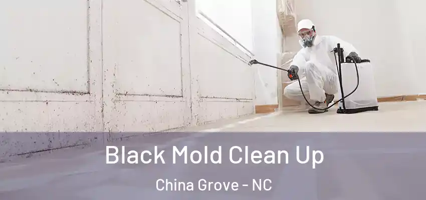 Black Mold Clean Up China Grove - NC