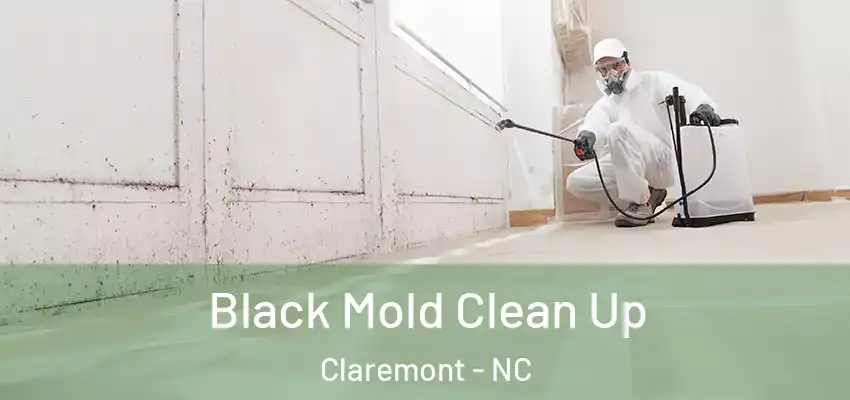  Black Mold Clean Up Claremont - NC