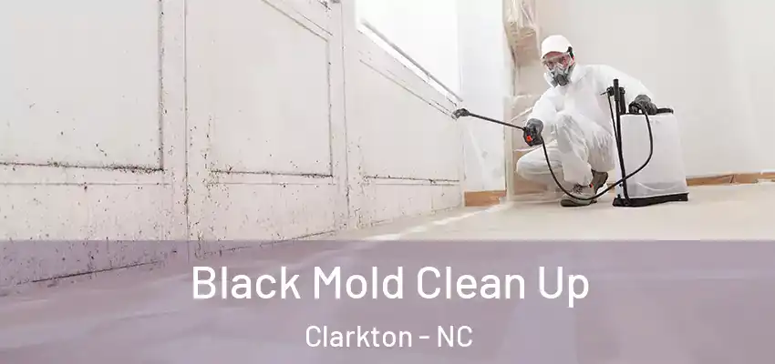  Black Mold Clean Up Clarkton - NC