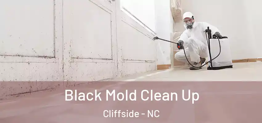  Black Mold Clean Up Cliffside - NC