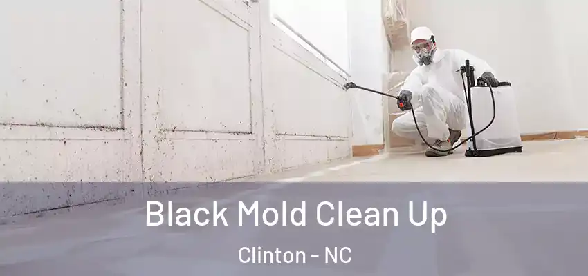  Black Mold Clean Up Clinton - NC