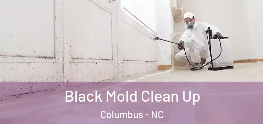  Black Mold Clean Up Columbus - NC