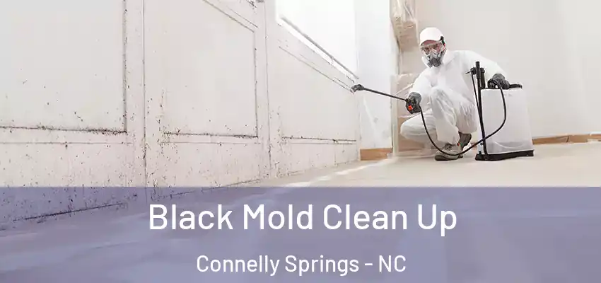  Black Mold Clean Up Connelly Springs - NC