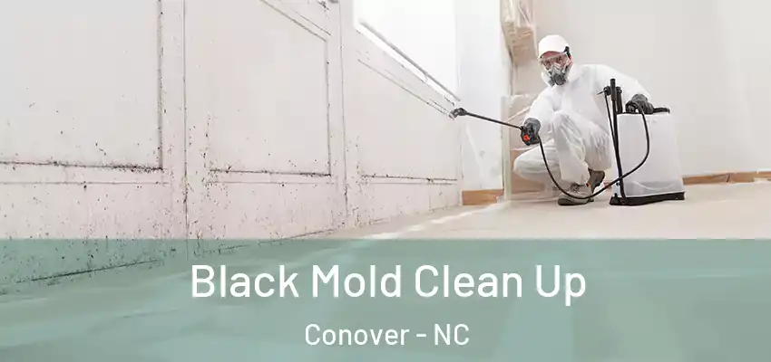  Black Mold Clean Up Conover - NC