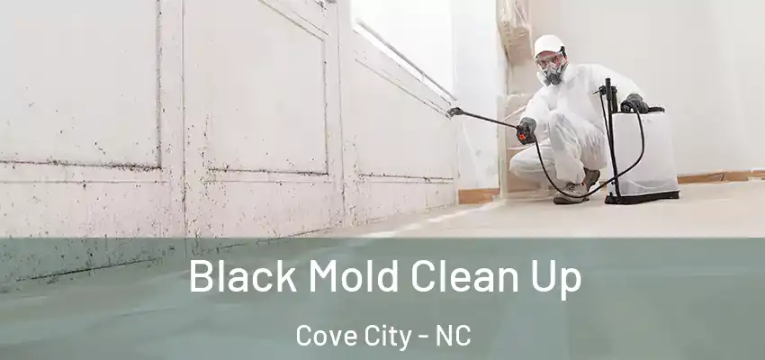  Black Mold Clean Up Cove City - NC
