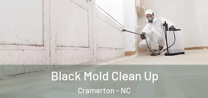  Black Mold Clean Up Cramerton - NC