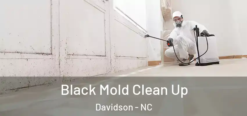 Black Mold Clean Up Davidson - NC