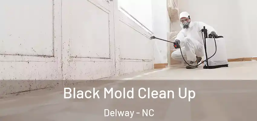  Black Mold Clean Up Delway - NC
