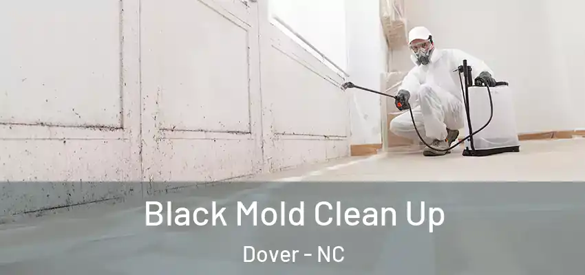 Black Mold Clean Up Dover - NC