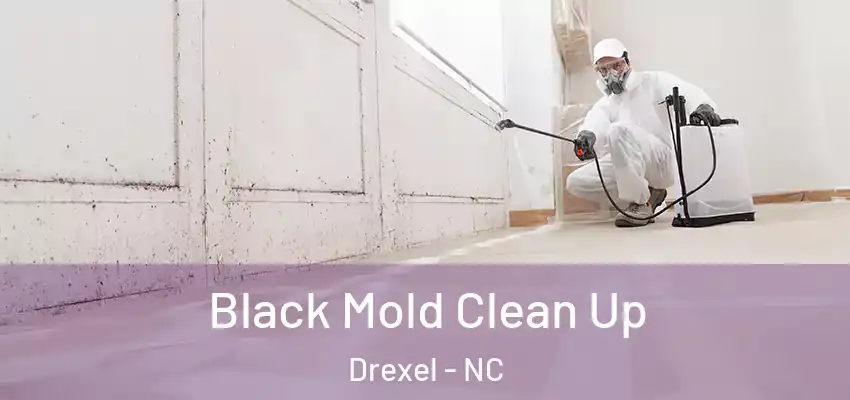  Black Mold Clean Up Drexel - NC