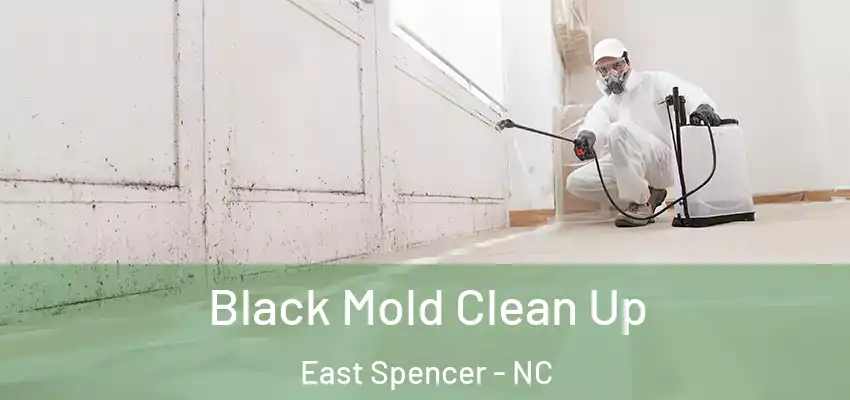  Black Mold Clean Up East Spencer - NC