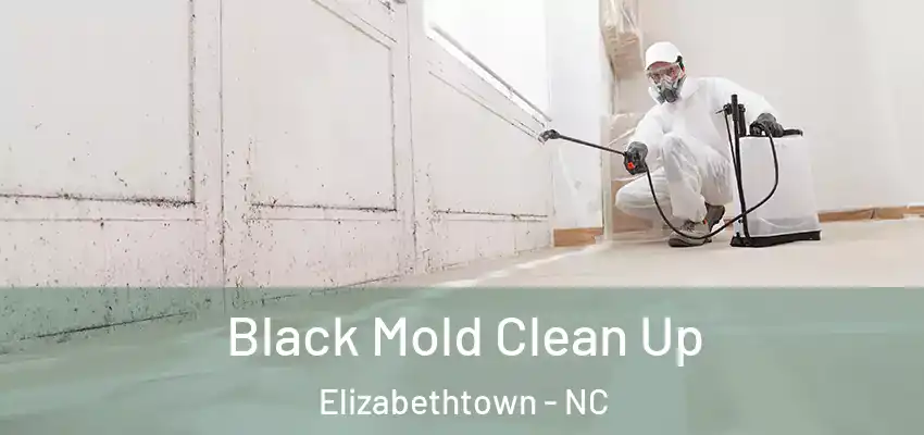  Black Mold Clean Up Elizabethtown - NC