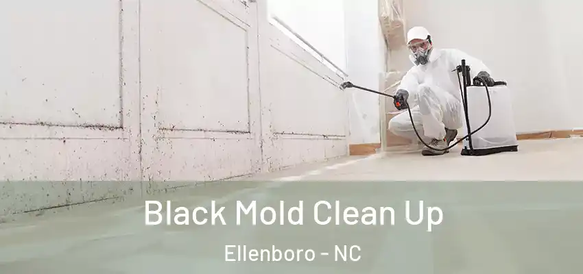  Black Mold Clean Up Ellenboro - NC