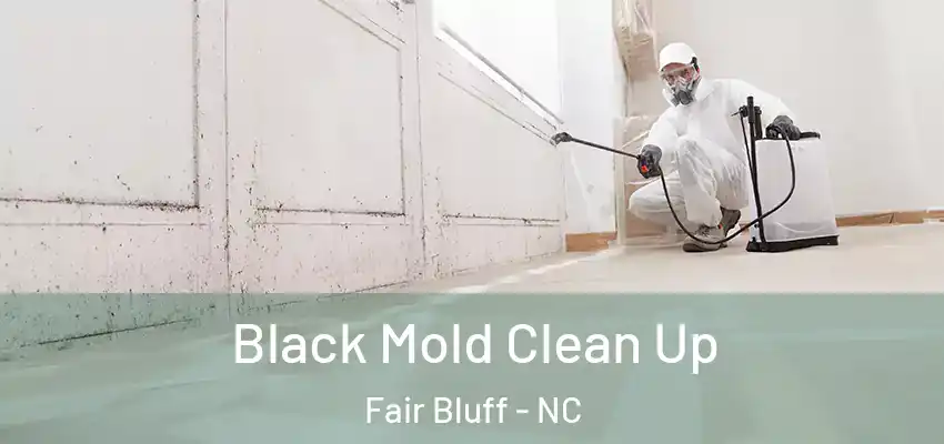 Black Mold Clean Up Fair Bluff - NC