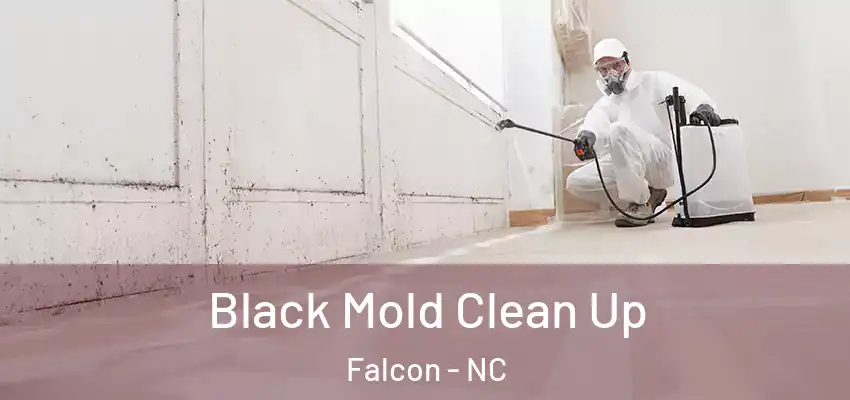 Black Mold Clean Up Falcon - NC
