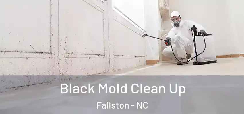 Black Mold Clean Up Fallston - NC