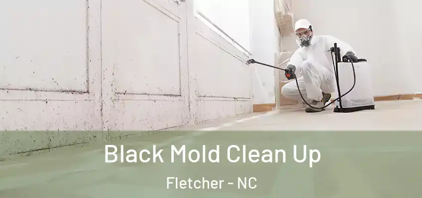  Black Mold Clean Up Fletcher - NC