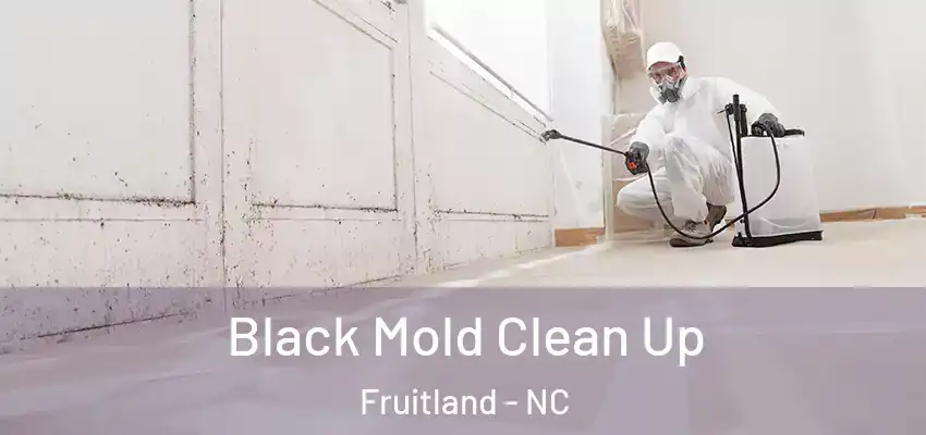  Black Mold Clean Up Fruitland - NC