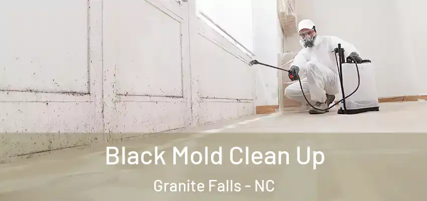 Black Mold Clean Up Granite Falls - NC