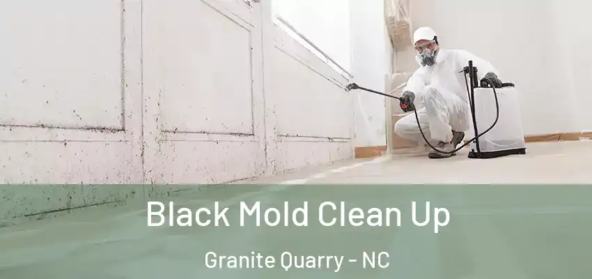 Black Mold Clean Up Granite Quarry - NC