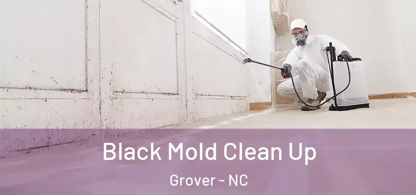 Black Mold Clean Up Grover - NC