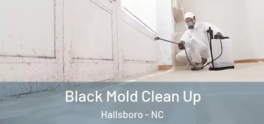  Black Mold Clean Up Hallsboro - NC