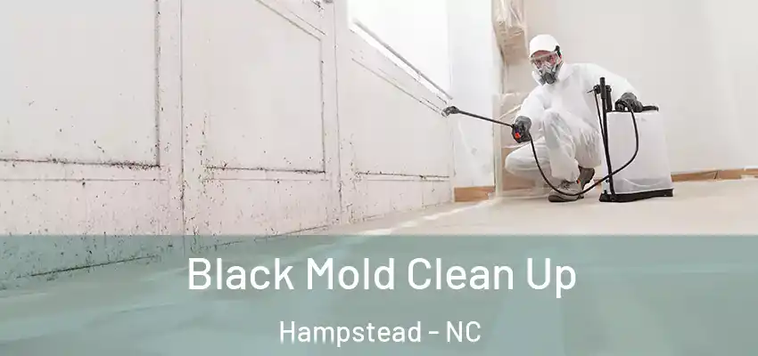  Black Mold Clean Up Hampstead - NC