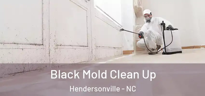  Black Mold Clean Up Hendersonville - NC