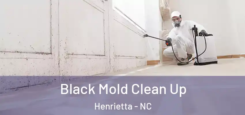  Black Mold Clean Up Henrietta - NC